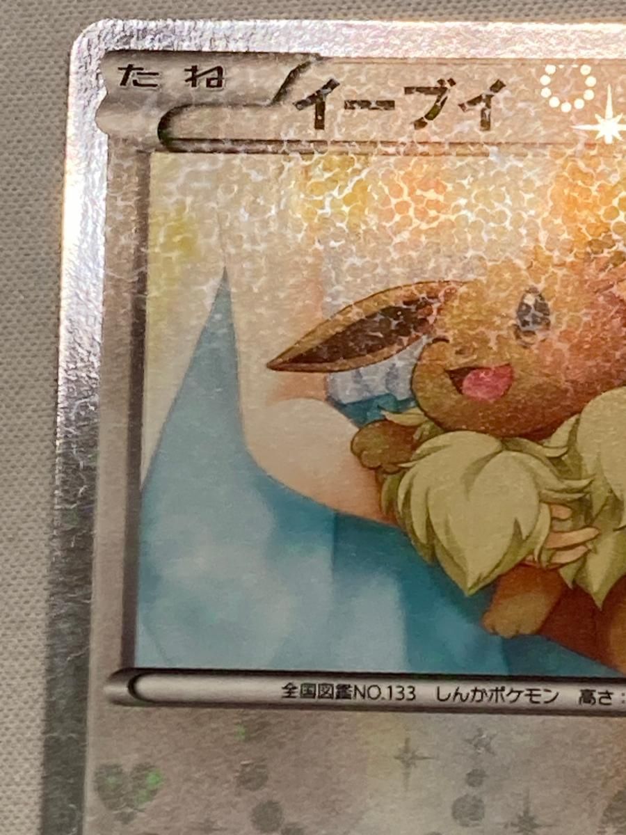 イーブイ 014 SC U BW シャイニーコレクション PSA9 イーブイ U 014