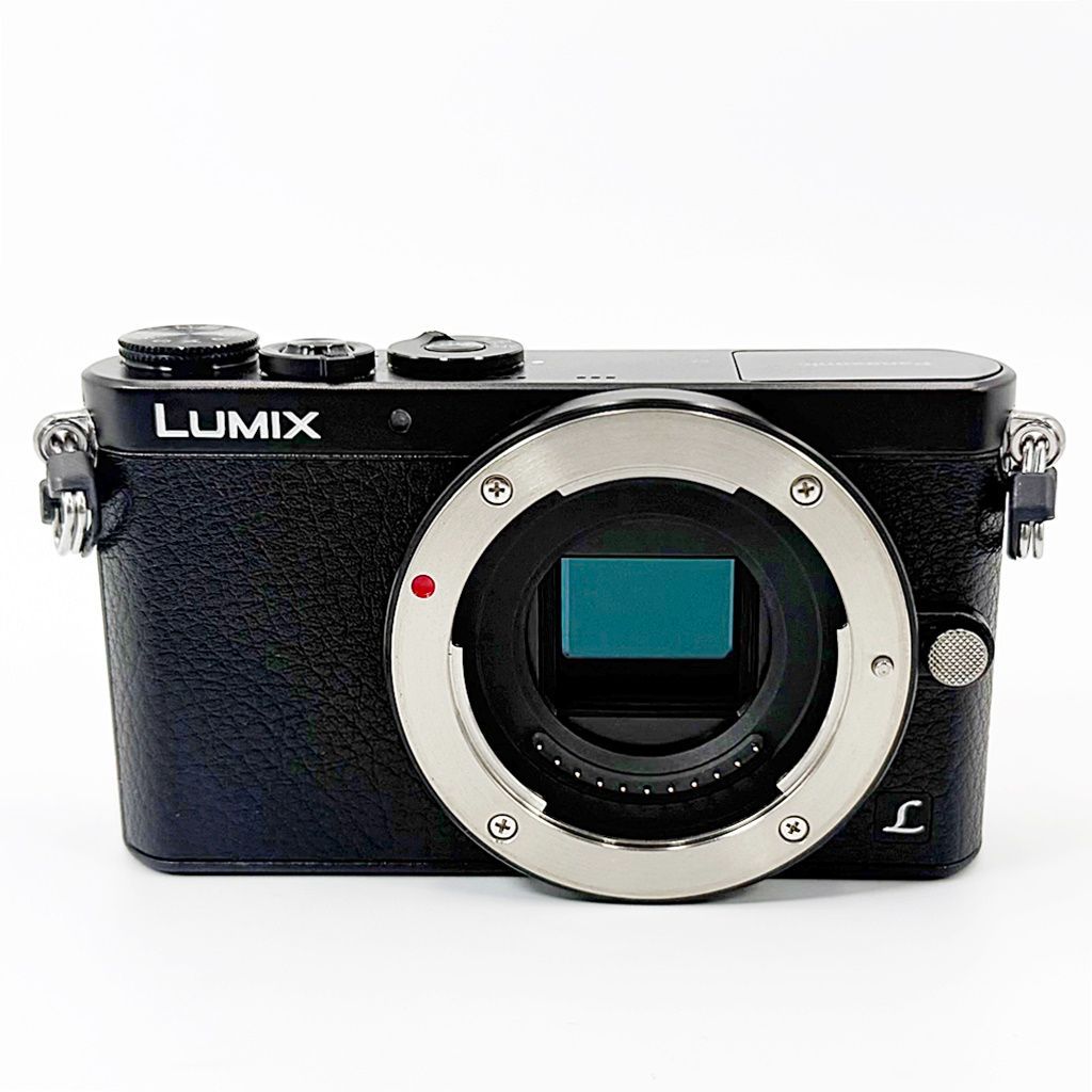 美品】パナソニック Panasonic LUMIX DMC-GM1K-K レンズキット