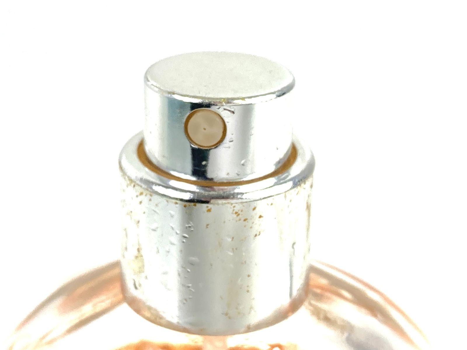 希少 残多 クラブツリー＆イヴリン C＆E EVELYN ROSE イヴリンローズ