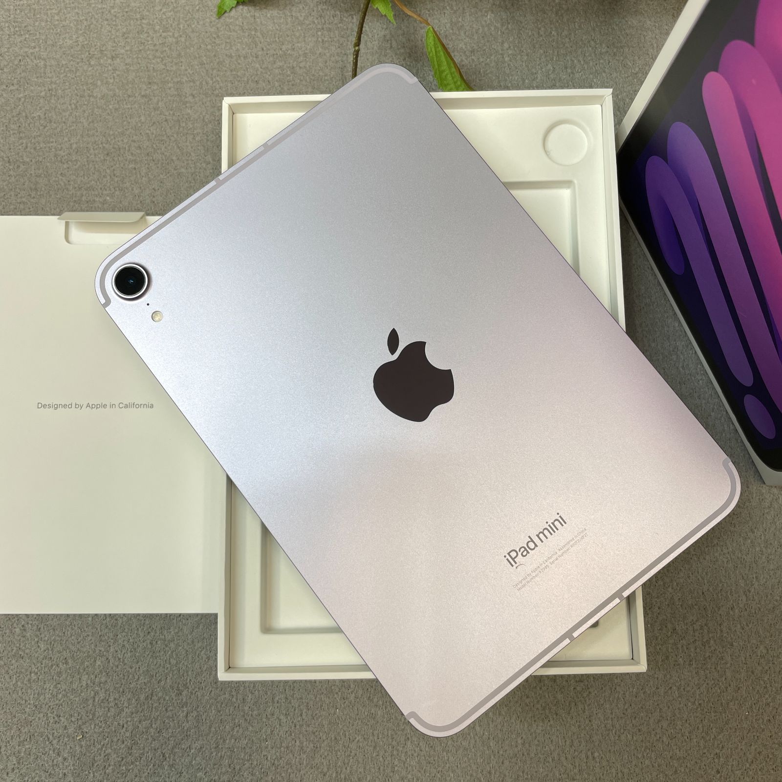 新品同様 iPad Mini A17Pro 512GB パープル SIMフリー - メルカリ
