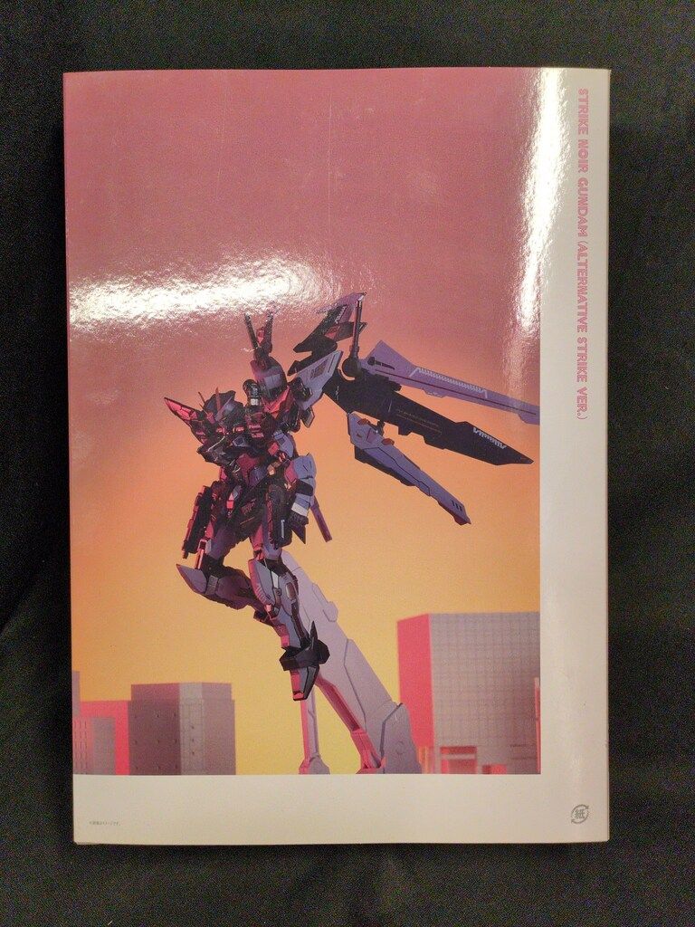 BANDAI SPIRITS METAL BUILD 機動戦士ガンダムSEED C.E.73 STARGAZER