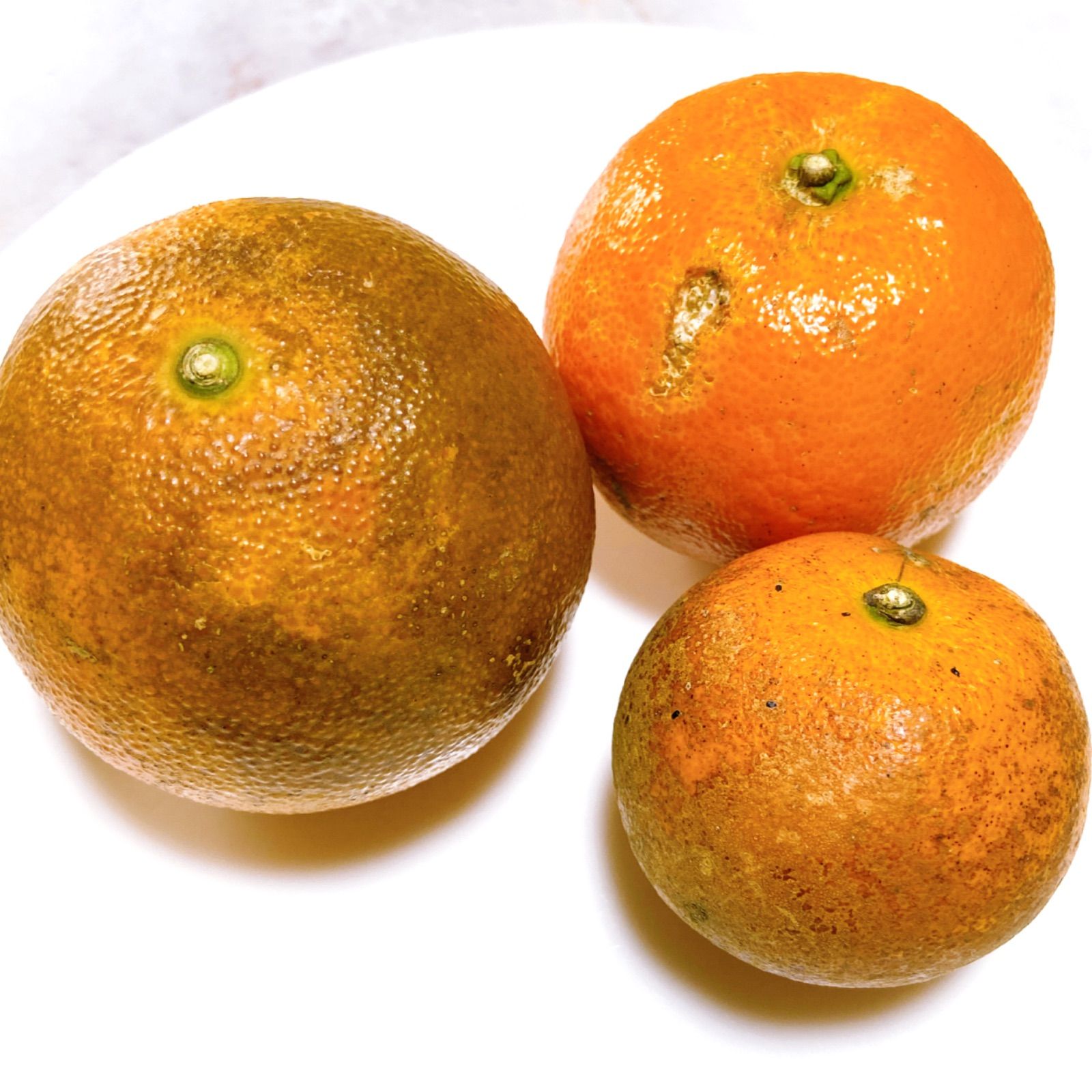 訳あり】奄美完熟たんかん S 10-14個 家庭用・加工用 - メルカリ