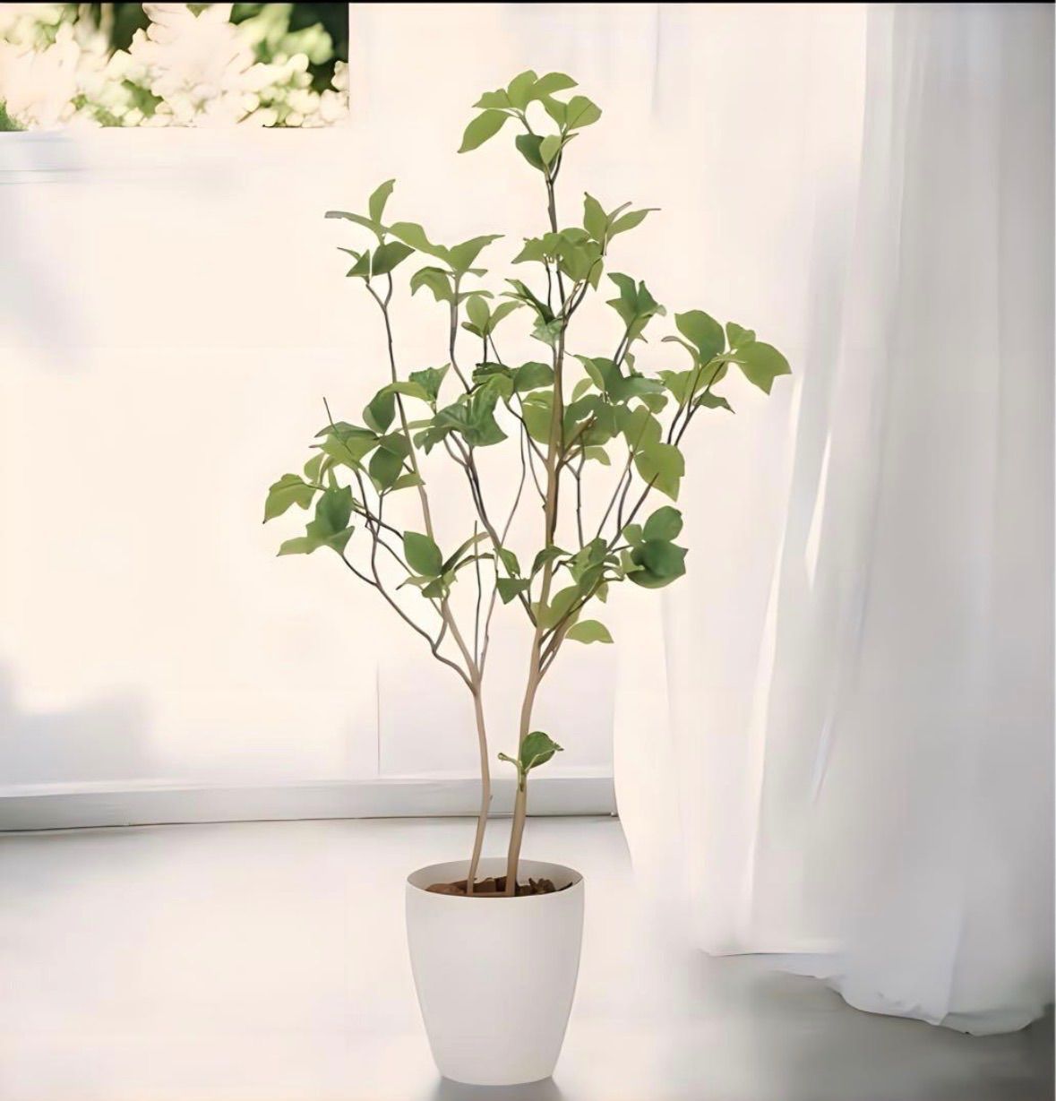 人工観葉・フェイクグリーン 光触媒 人工観葉植物 ウォールグリーン