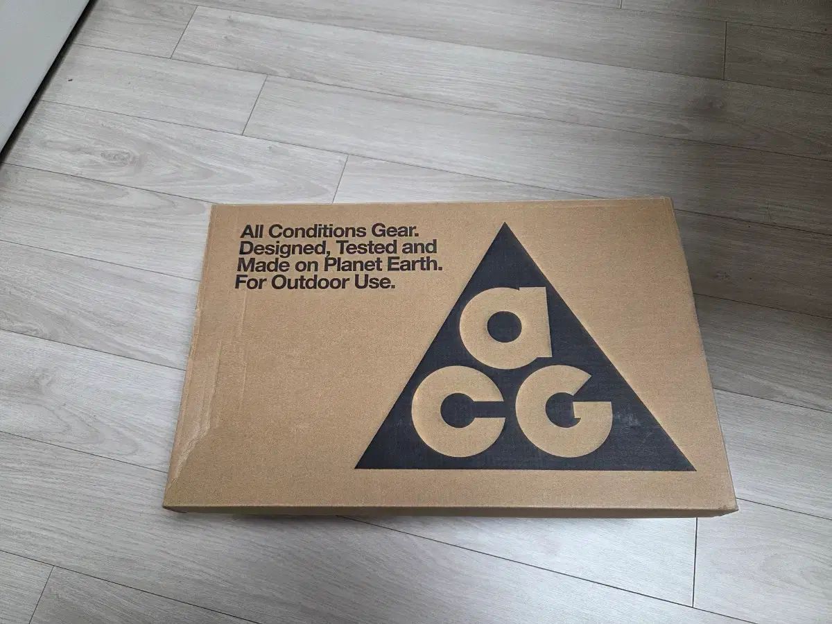 ACGマウンテン フライ ゴアテックス 280 mm