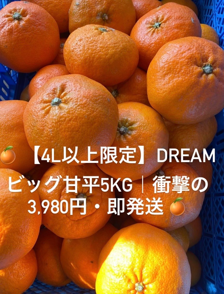 限定100箱 Dreamビッグ甘平 5kg＊送料無料 - メルカリ