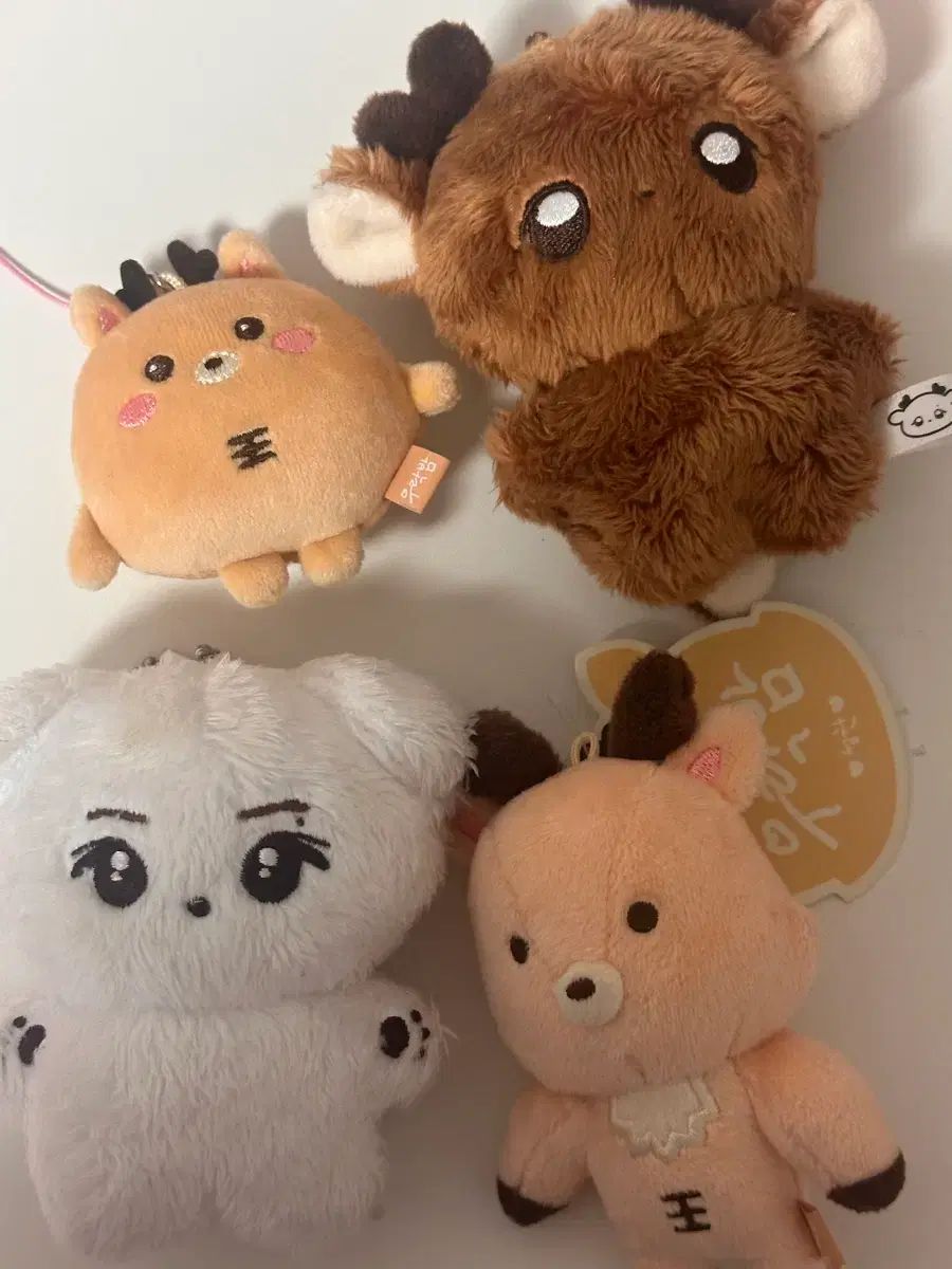 ライズ RIIZE ソンチャン ウラクバム 中国限定 クッション RIIZE（ライズ） ソンチャン(SUNGCHAN) ぬいぐるみ ウラクボム まとめ