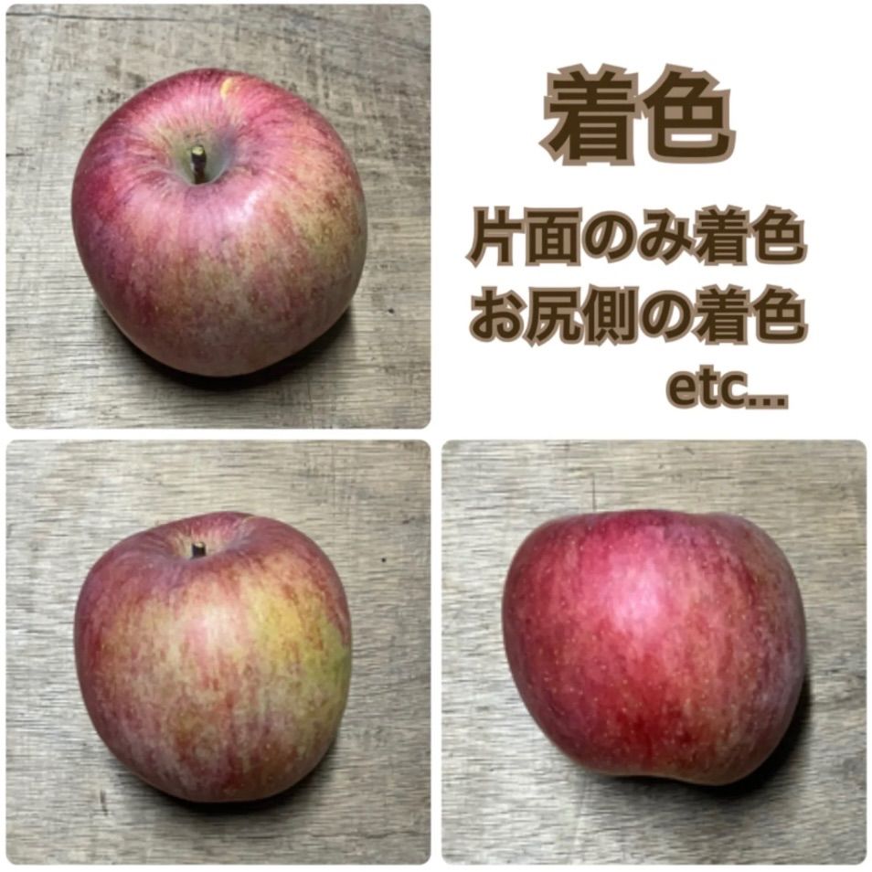 数量限定】訳ありサンふじ 5kg 約10-20玉 長野県産 - メルカリ