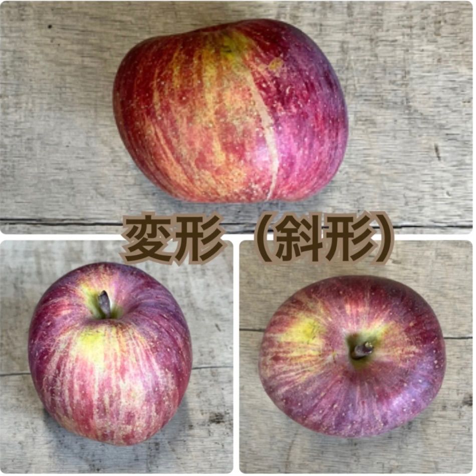 数量限定】訳ありサンふじ 5kg 約10-20玉 長野県産 - メルカリ