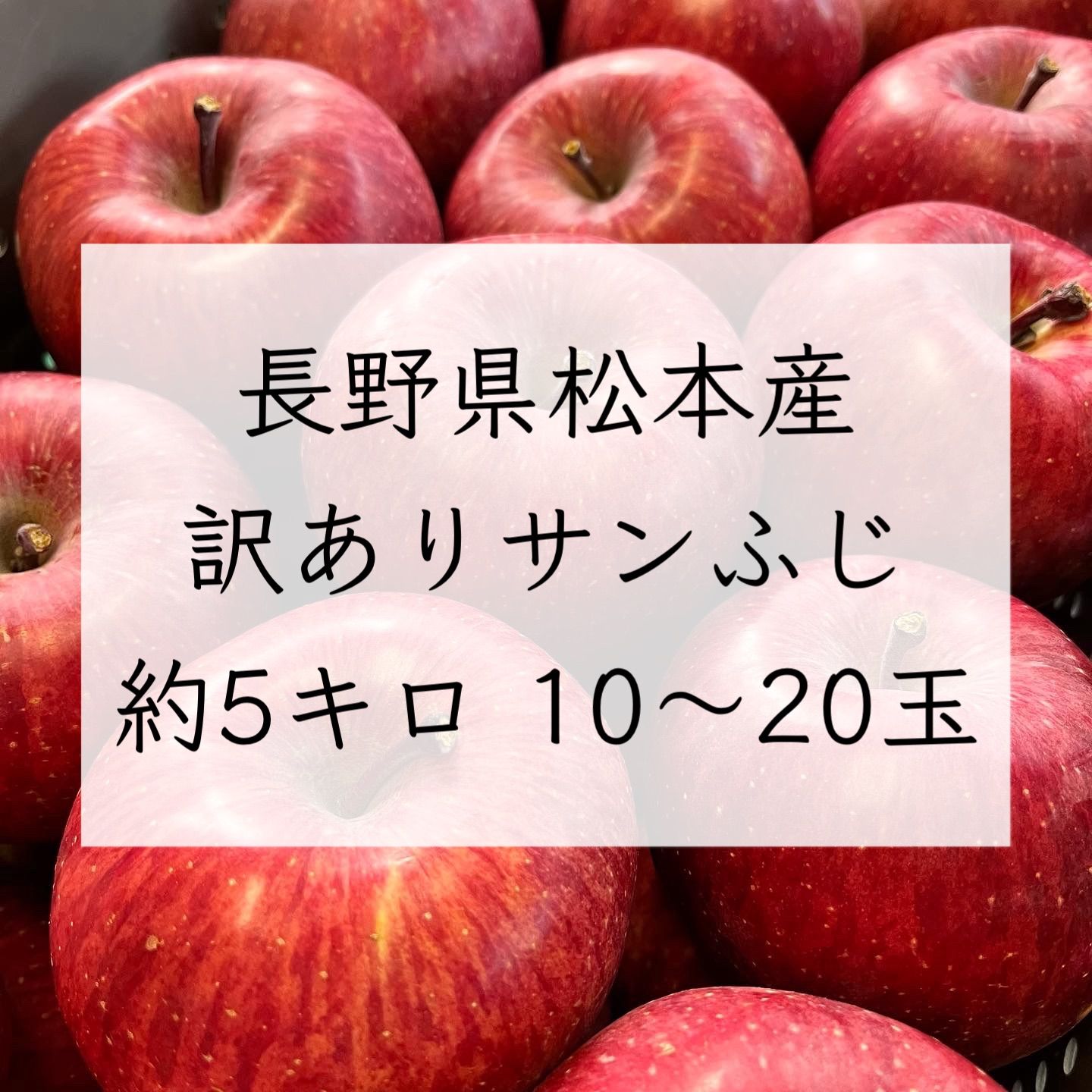 数量限定】訳ありサンふじ 5kg 約10-20玉 長野県産 - メルカリ