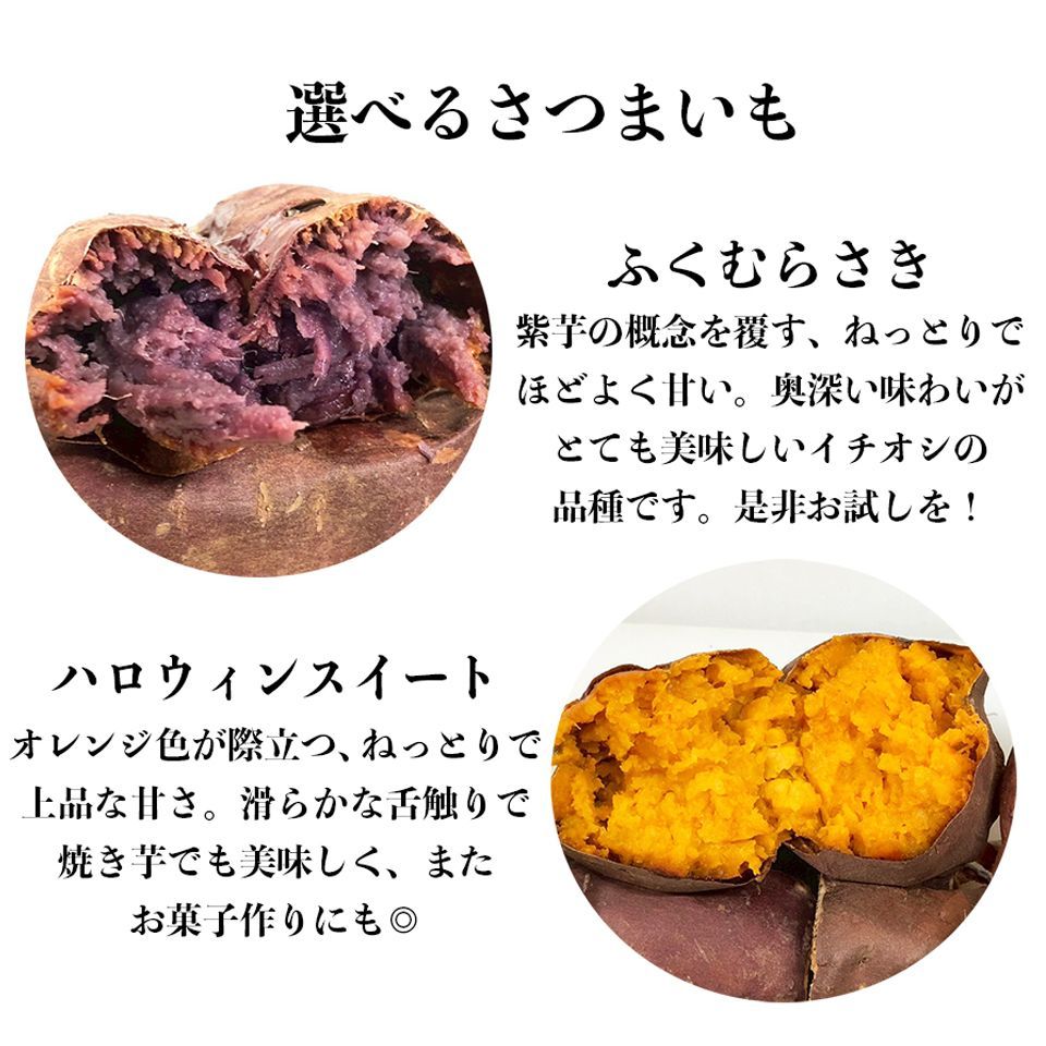 【まとめ売り】ハロウィンスウィート/ふくむらさき/ゆきこまち 苗 【まとめ売り】ハロウィンスウィート/ふくむらさき/ゆきこまち