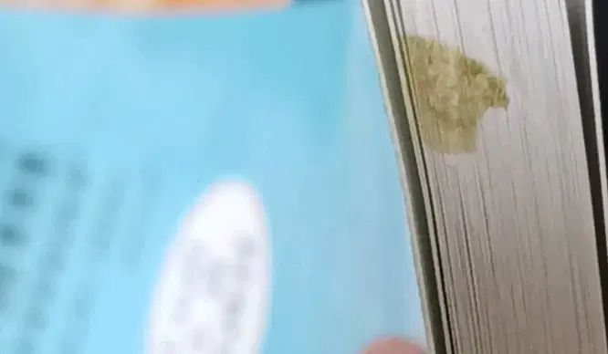 中学英語 1年 2学期 内申 対比 grammar 동아윤