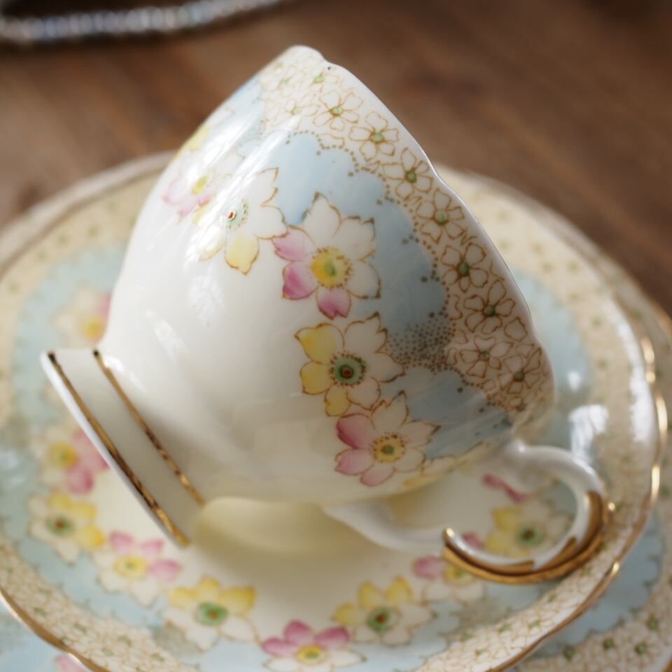 TUSCAN パステルブルー