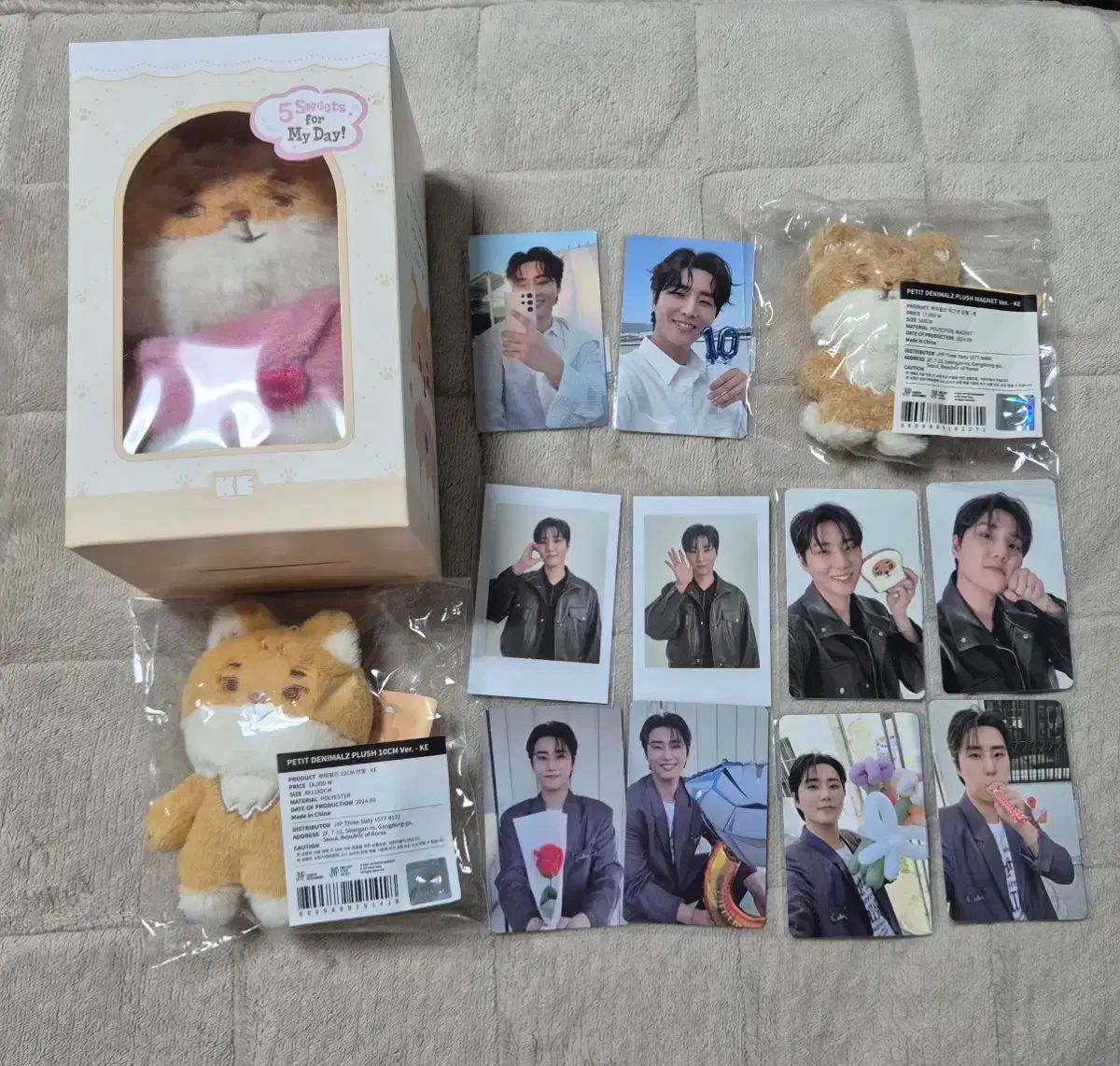 DAY6 ヨンケイ(Young K) ボイスキーリング プチマルズ マグネット ケ