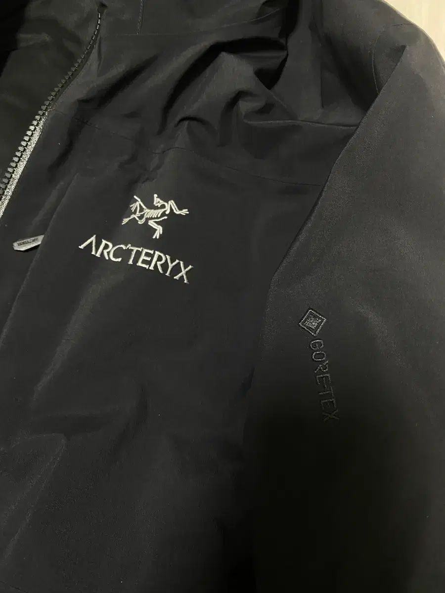 ARC TERYX ダウン フィションSV GORE TEX ベータ L