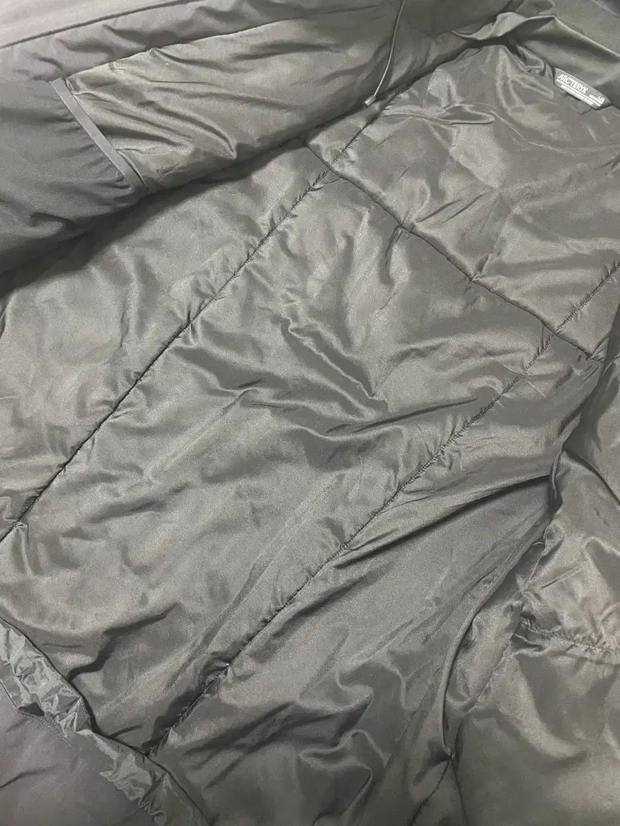  ARC TERYX ダウン フィションSV GORE TEX ベータ L その他 アウター