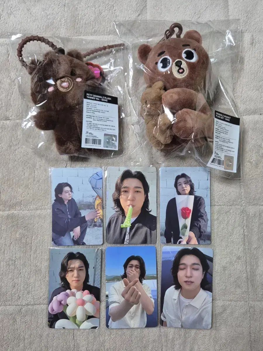 DAY 6 ソンジン SUNGJIN タニング방 アバント トレカ まとめ