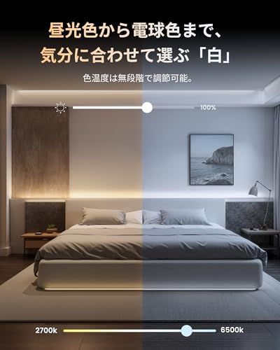  迅速に発送 SwitchBot RGBIC LEDテープライト アレクサ Matter対応 - スイッチボット 間接照明 RGB ライト 1600万色 高輝度 電球色 昼白色 昼光色 マルチカラー 無段階 調光調色 Wi-Fi Blueto 917 ce 6 d 0 その他 キッチン 食器