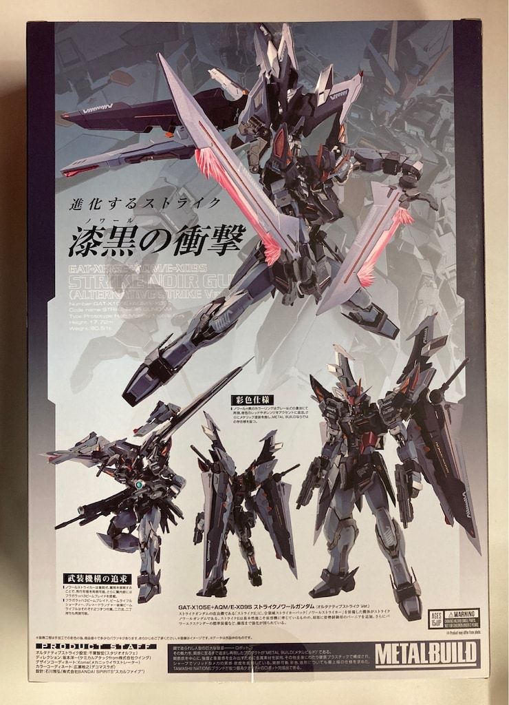 BANDAI SPIRITS METAL BUILD 機動戦士ガンダムSEED C.E.73 STARGAZER