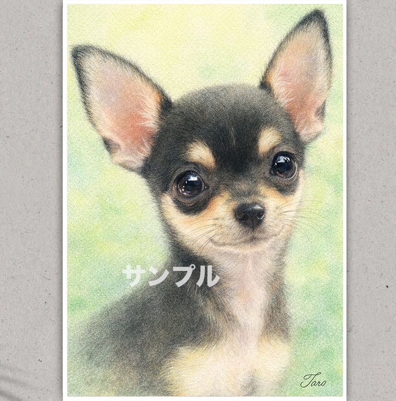 【スムースコートチワワ】アクリル画 F4 風景画 絵画 チワワのイラストポスター A4. 名入れ無料 スムースコートチワワ CHI