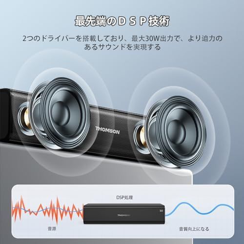 THOMSON カラオケセット 拡声器 ワイヤレスマイク2本付き PAセット Bluetooth 5.0 ワイヤスステレオ対応 家庭用 USB再生 ポータブルスピーカー 屋外 スピーチスピーカー USB-C充電式ワイヤレスマイク 小型 ホームカ bdcf 31 ef