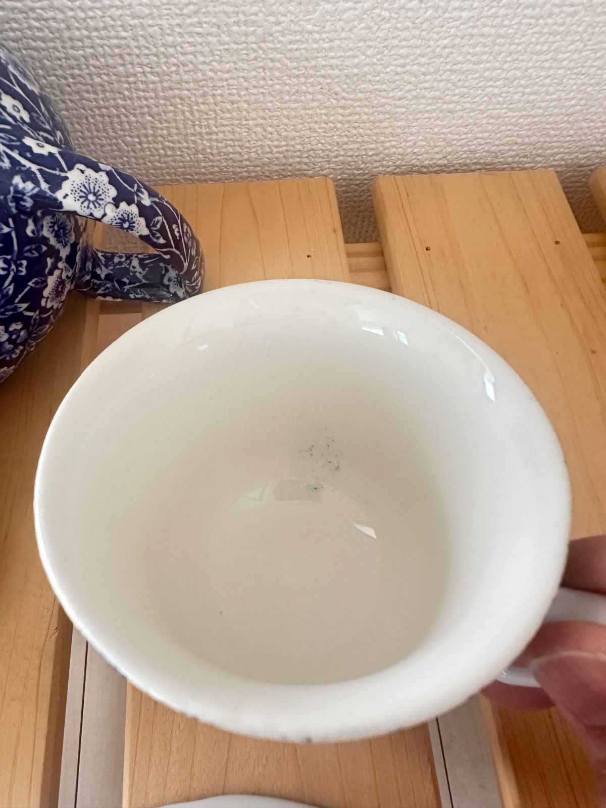 Calico ブルーキャリコ