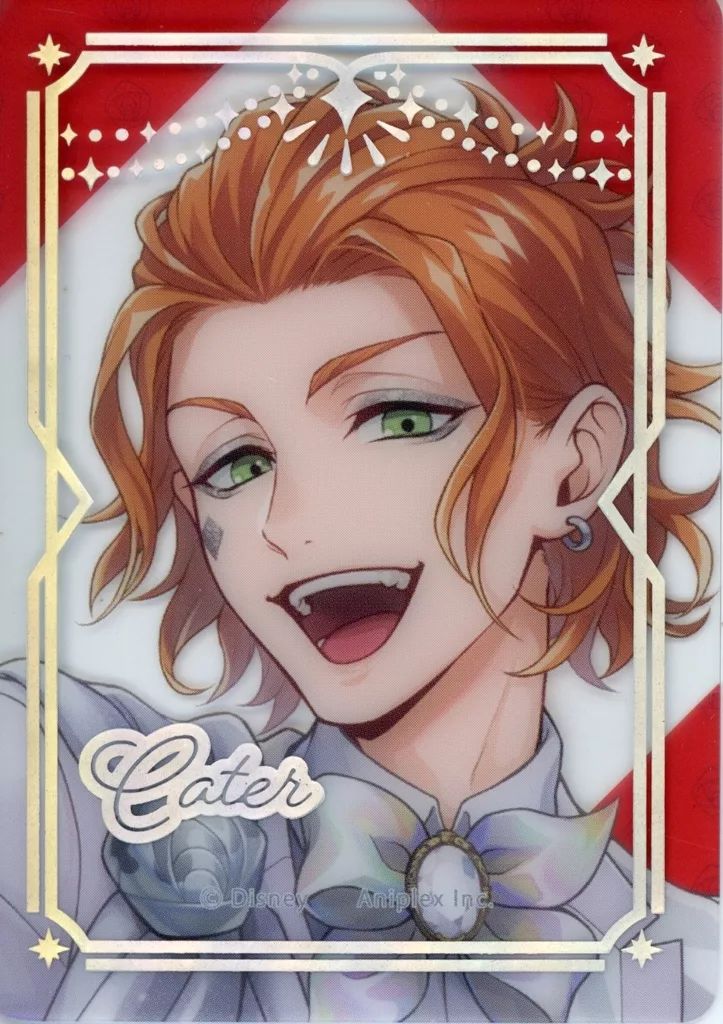 ツイステ ケイト オーロラカード m63050073291_1.jpg?1752449563