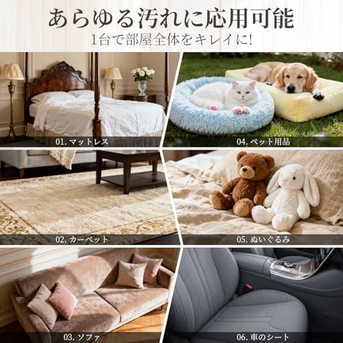 水洗いクリーナー