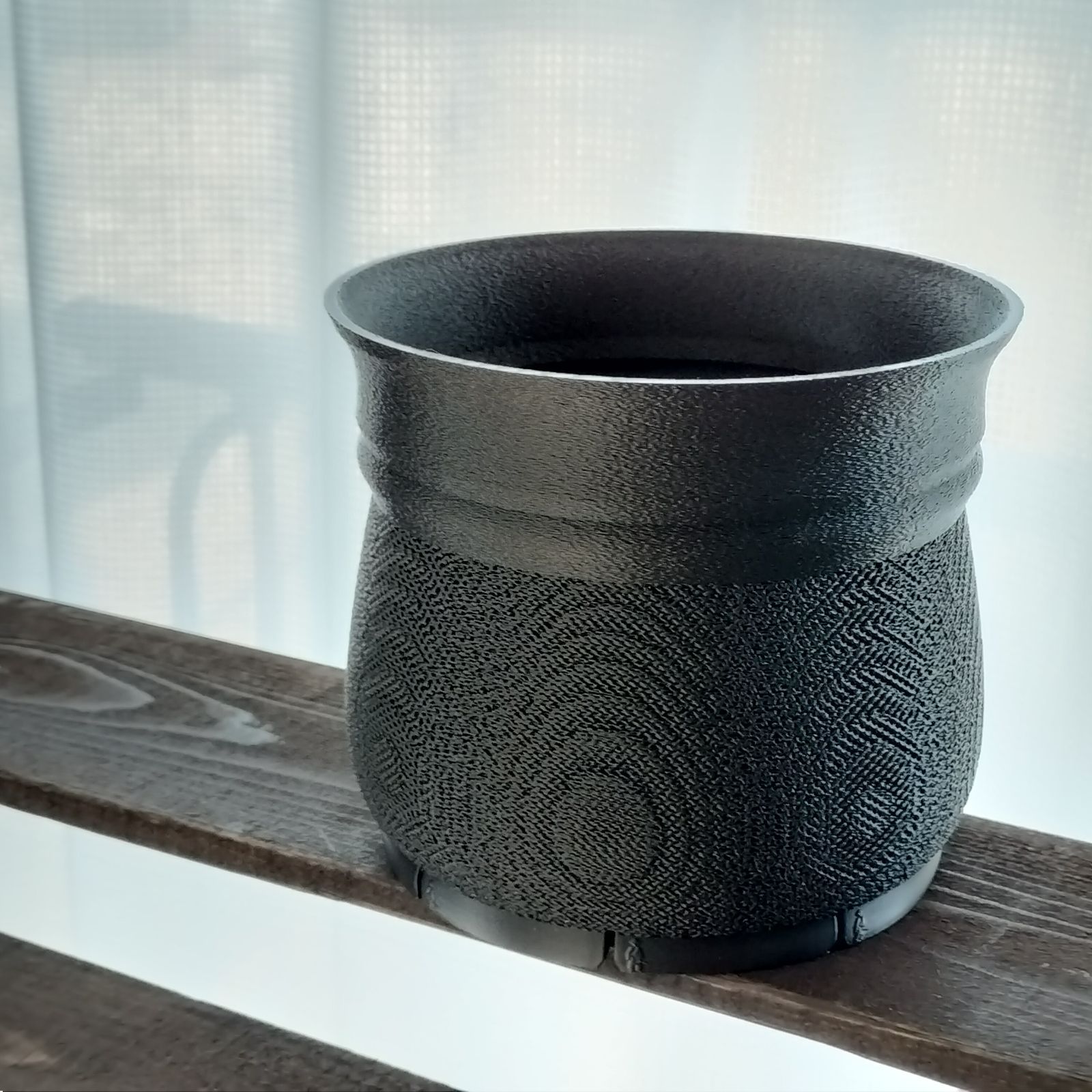 逸品。ロドレイア2.8M(鉢底から) 逸品。ロドレイア2.8M(鉢底から)