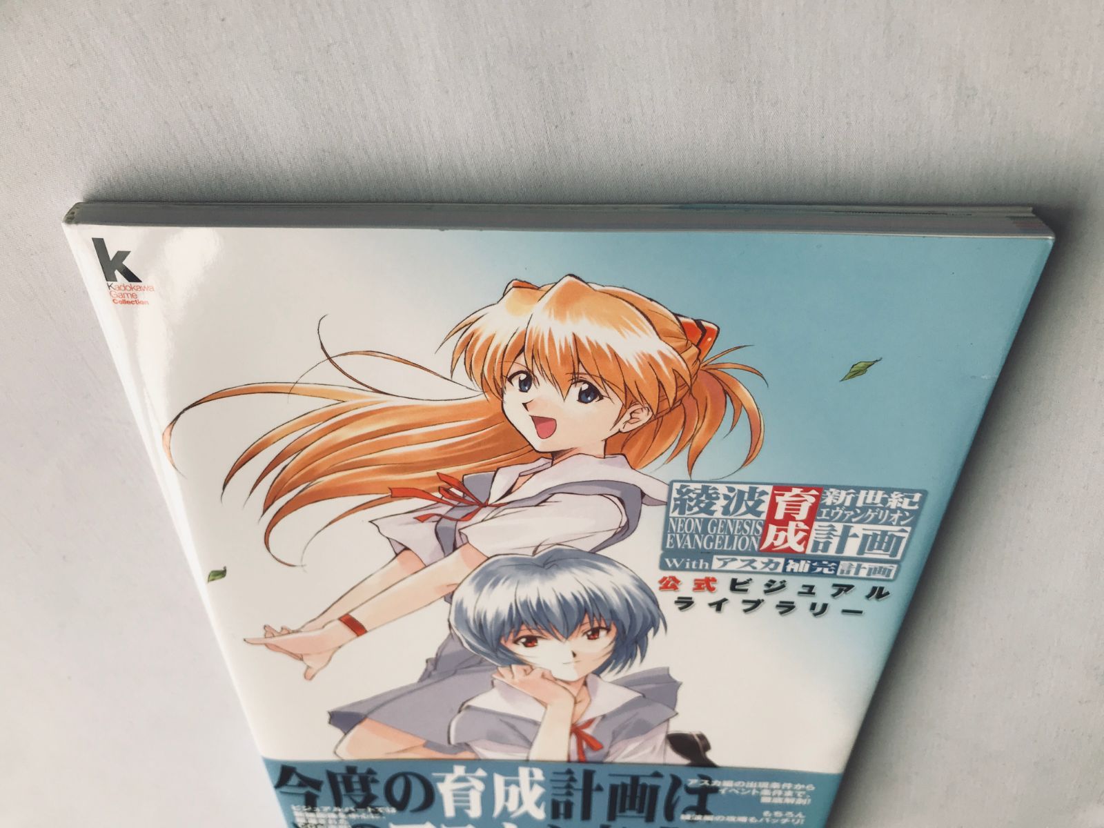 新世紀エヴァンゲリオン 綾波育成計画 with アスカ補完計画 公式