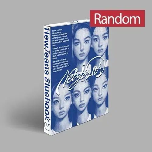 NewJeans ブルーブック(ハニバージョン) - メルカリ