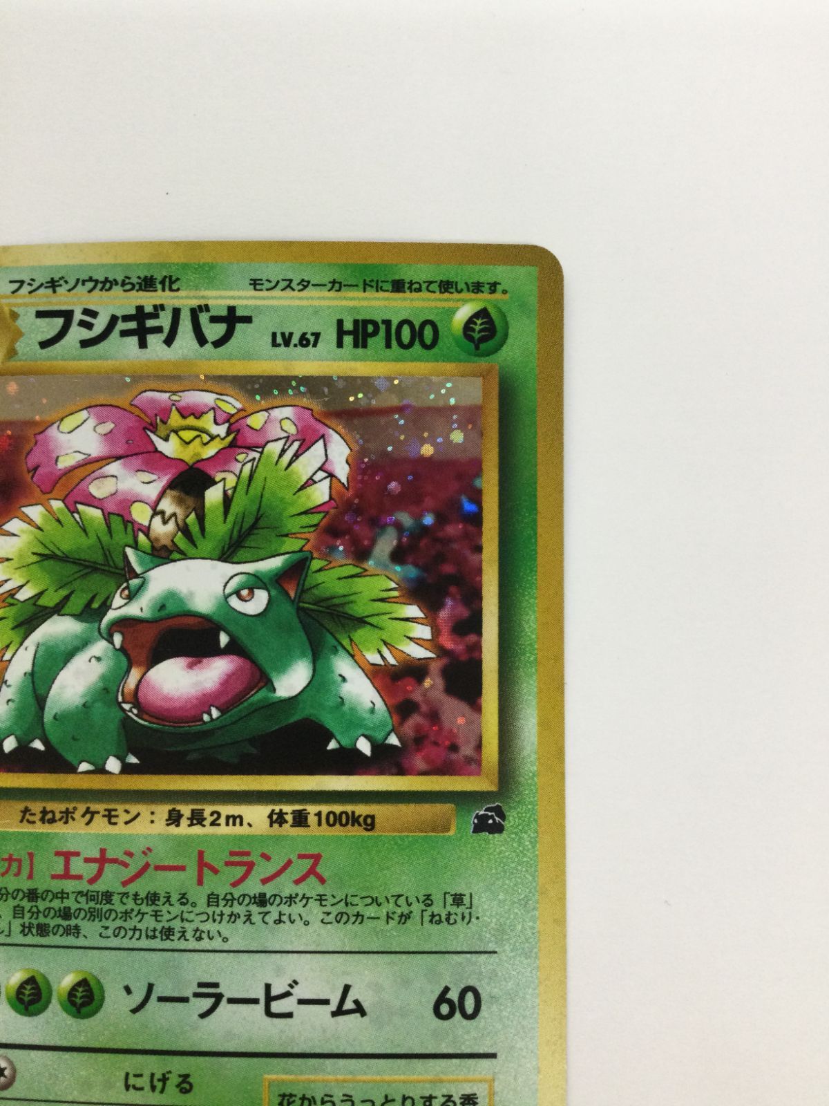 Y080[PK]Y3645(カード) フシギバナ No.003 イントロパック 旧裏 傷や