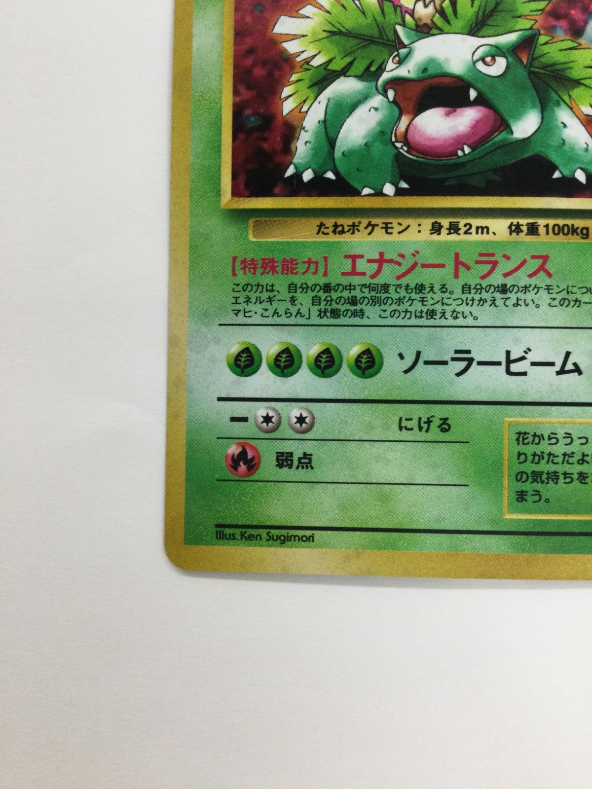 Y080[PK]Y3645(カード) フシギバナ No.003 イントロパック 旧裏 傷や