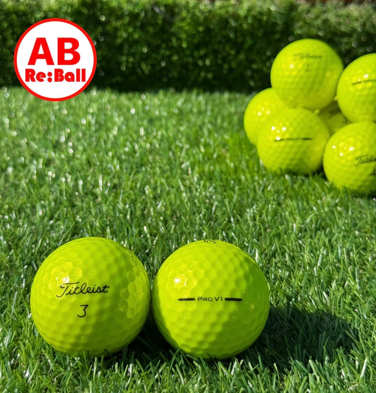 Titleist タイトリスト PRO v1 2025年モデル◇12球【AB級ランク