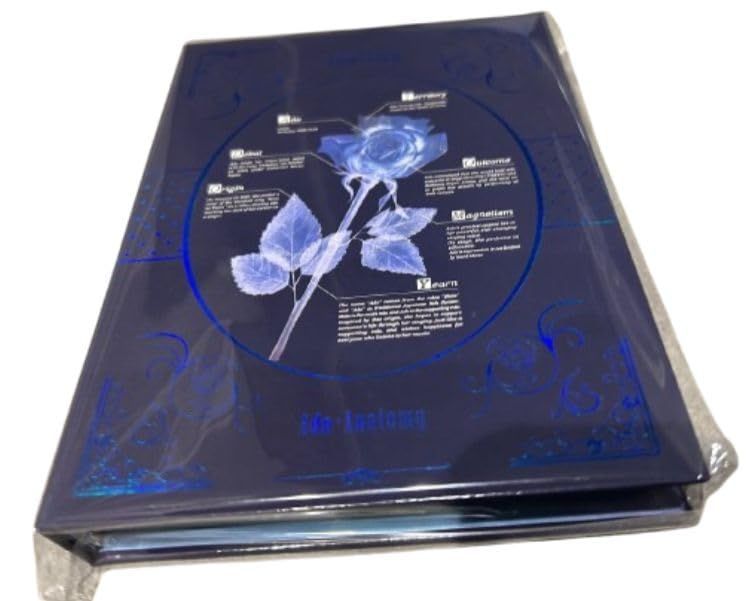 Ado アド 5th Anniversary Exhibition Adotomy ポップアップ 2026 入場