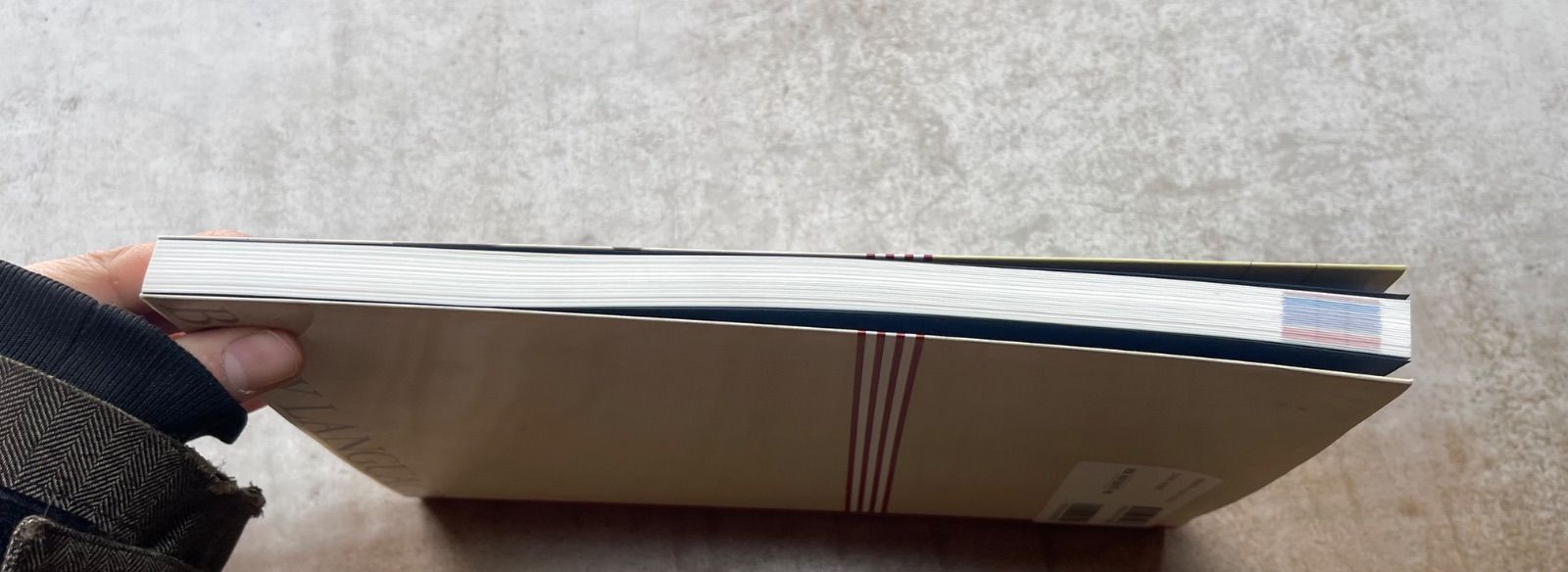 ドッグ・トレーナーに必要な「深読み・先読み」テクニック 犬の行動