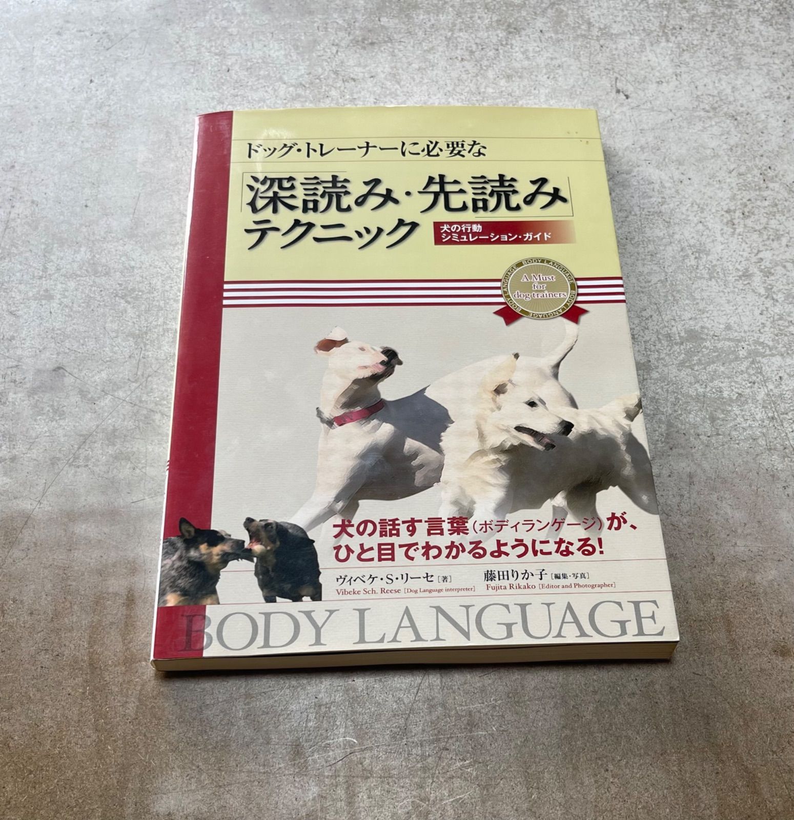 ドッグ・トレーナーに必要な「深読み・先読み」テクニック 犬の行動