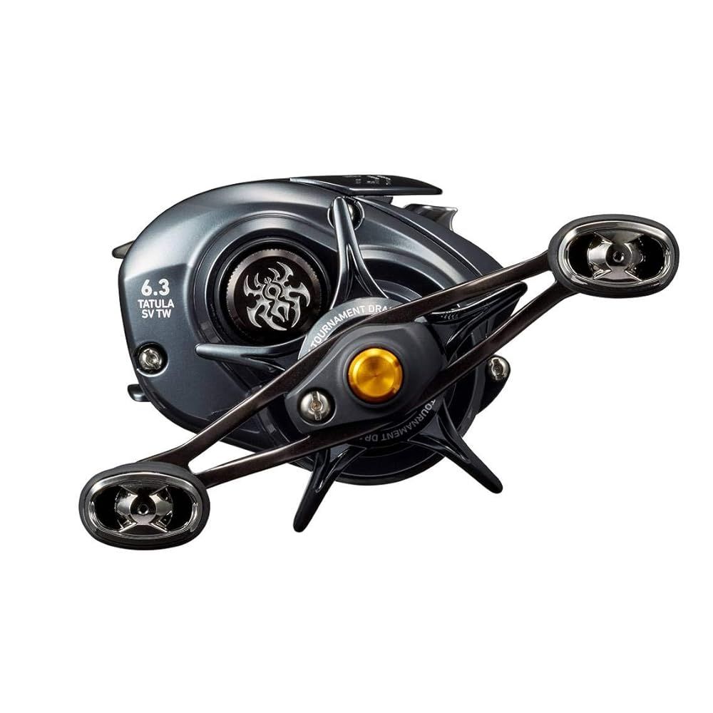 ダイワ(DAIWA) キャスティング ベイトリール 20 TATULA SV TW 103H