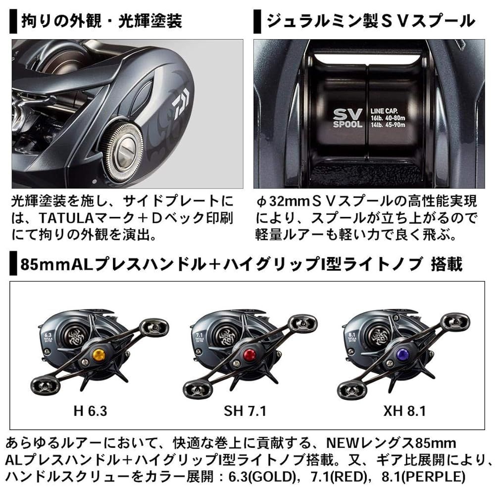 ダイワ(DAIWA) キャスティング ベイトリール 20 TATULA SV TW 103H