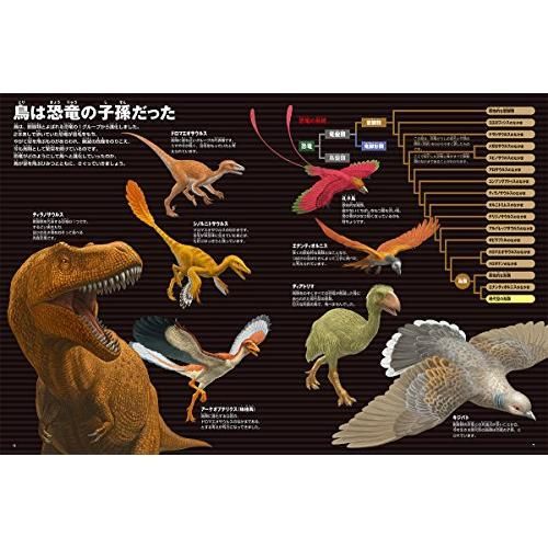 DVD付 新版 鳥 恐竜の子孫たち (小学館の図鑑・NEO) - メルカリ