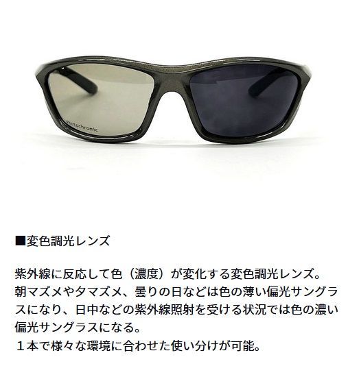 ダイワ◇ポリカーボネイト変色調光偏光グラス DN-4216H(ライトグレー