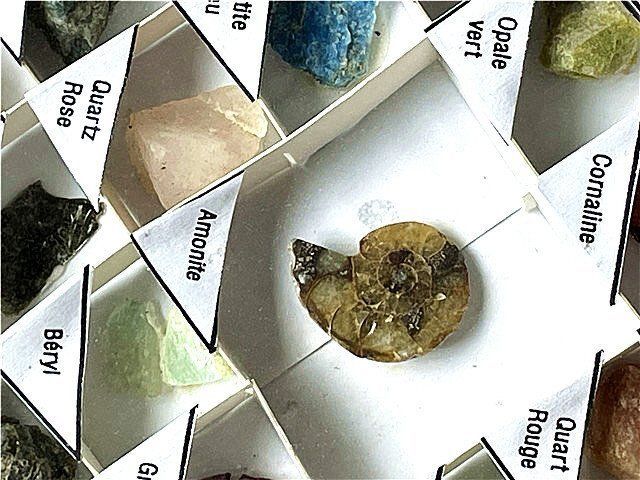 ☆貴重－アンモナイト縫合線オパール化石標本B88U3/104U09D - メルカリ