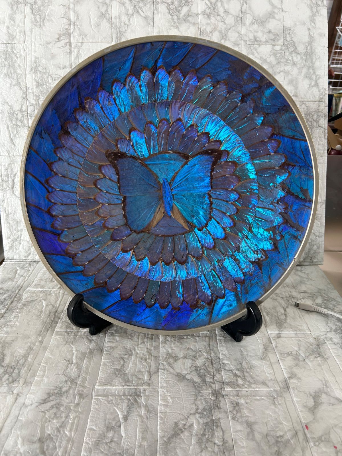 モルフォ蝶 直径37.5cm 羽根飾り皿 壁掛け 蝶羽根アート 青い蝶 - メルカリ