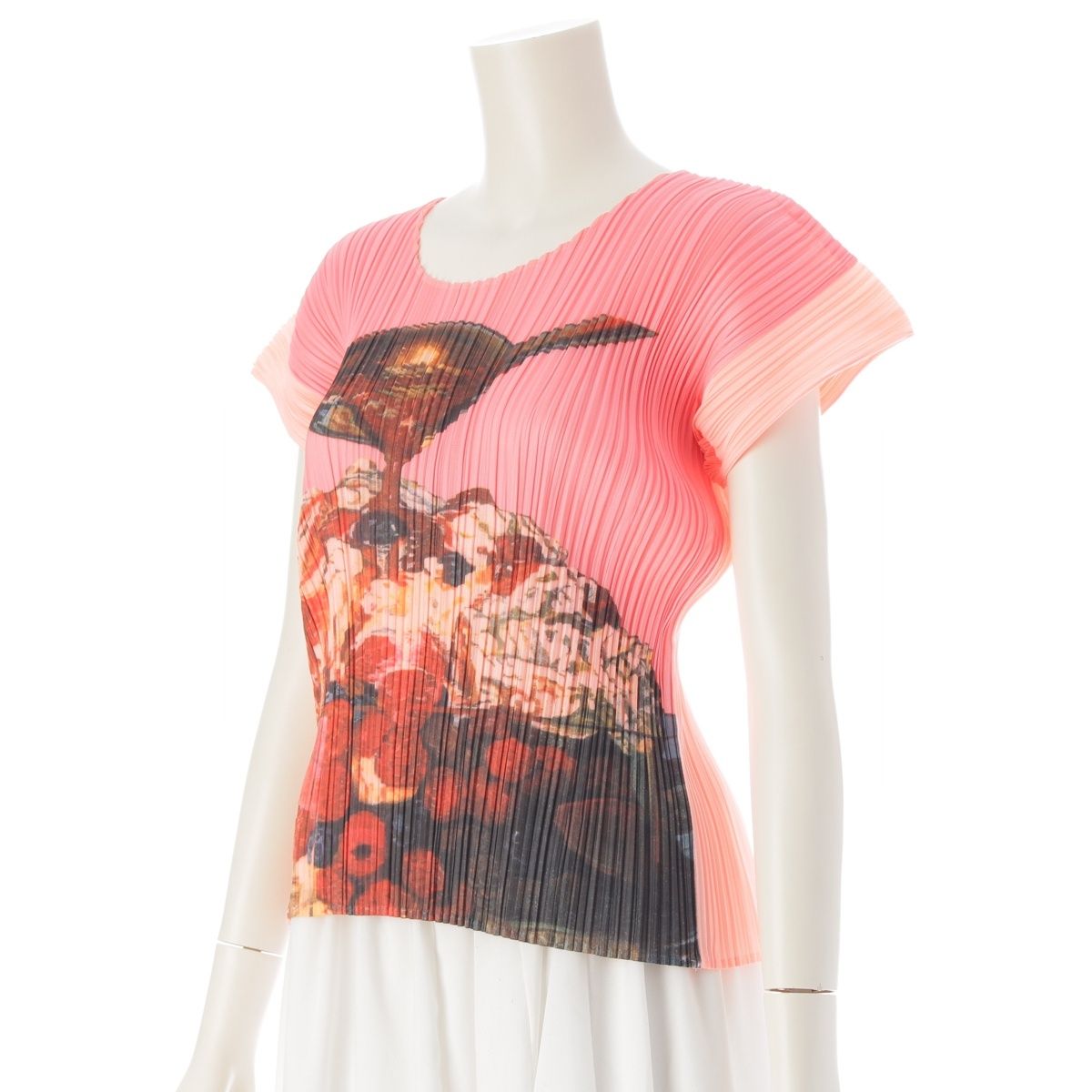 プリーツプリーズ イッセイミヤケ パフェプリント 半袖クルーネック