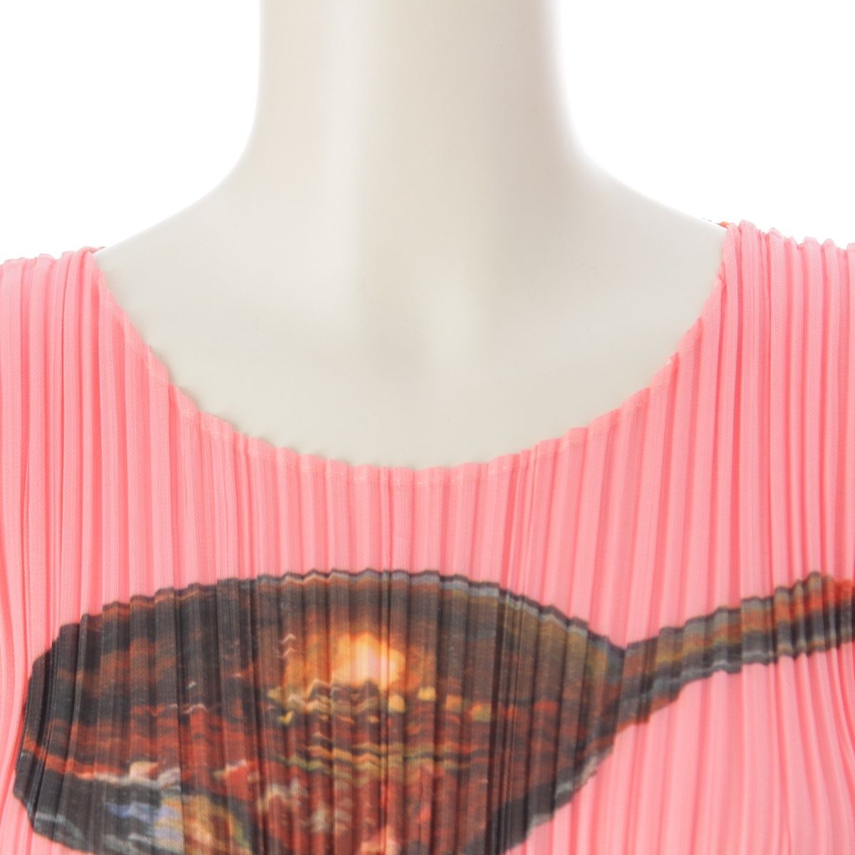 プリーツプリーズ イッセイミヤケ パフェプリント 半袖クルーネック