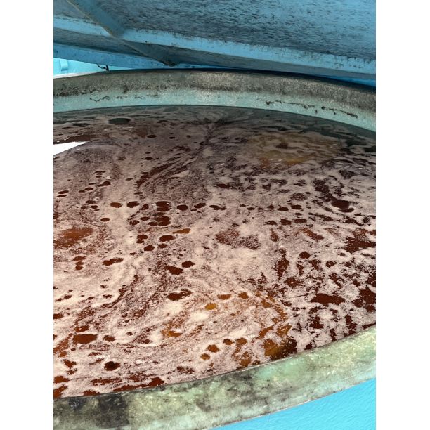 数量限定！ 紀州南高梅 樽 4000g 無添加 和歌山 紀州 白梅 - メルカリ