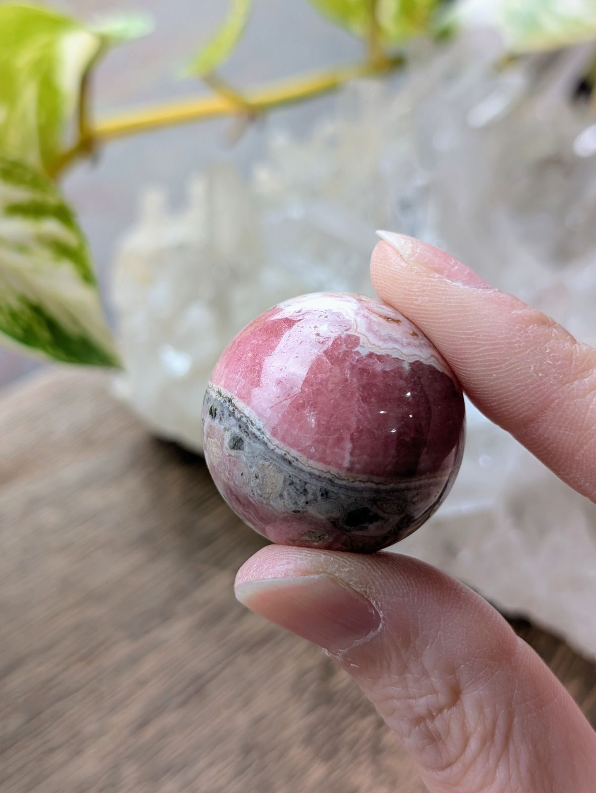 アルゼンチン産