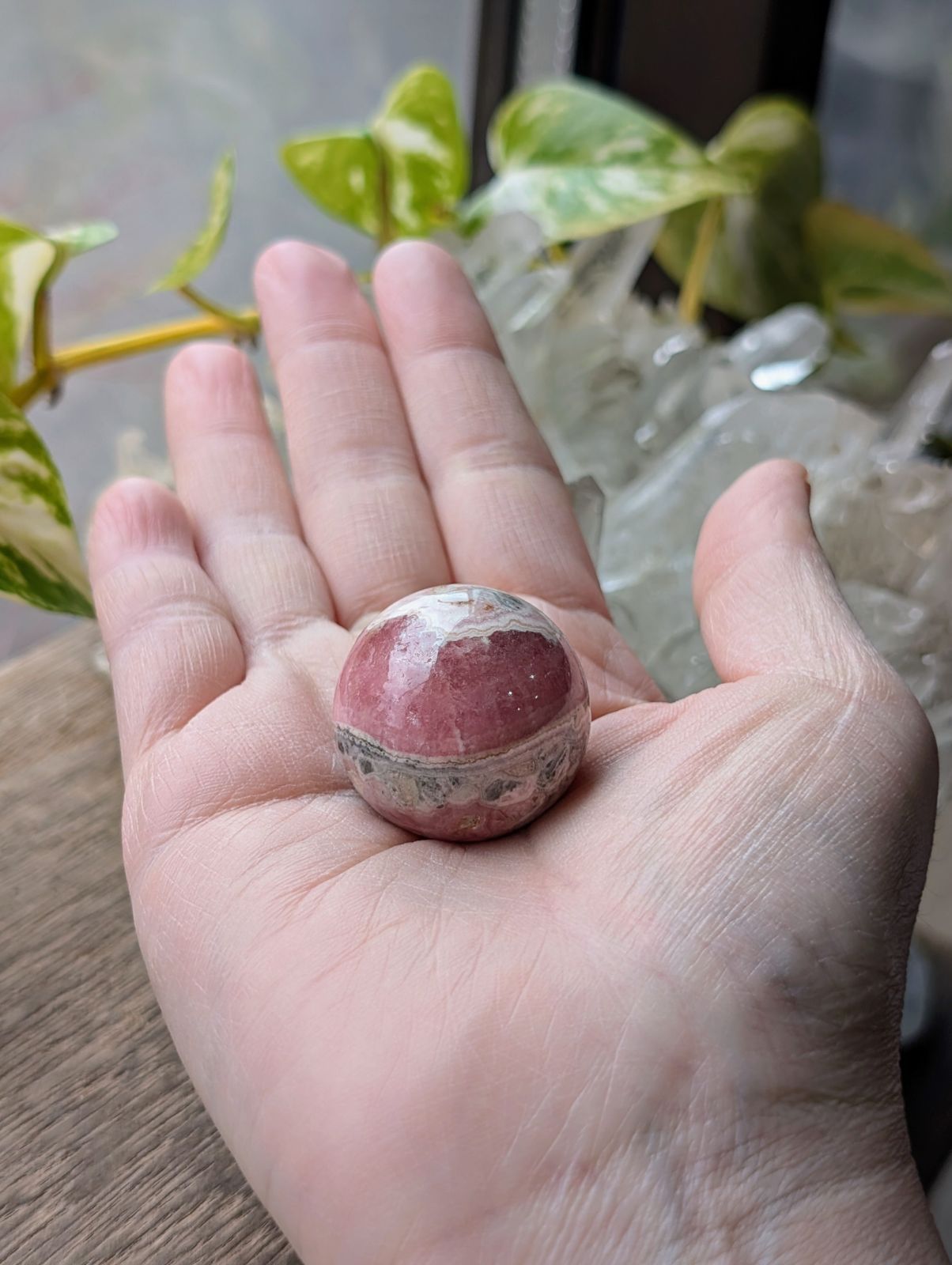 アルゼンチン産 インカローズ