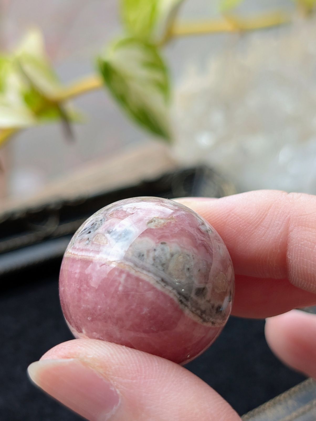 アルゼンチン産