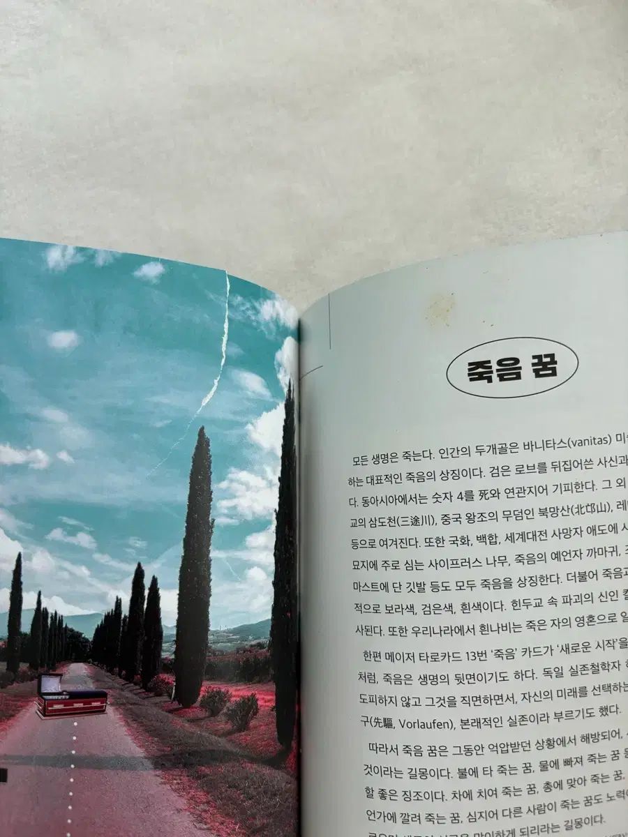 ノベライズ小説まとめ売り② 小説 まとめ売り - メルカリ