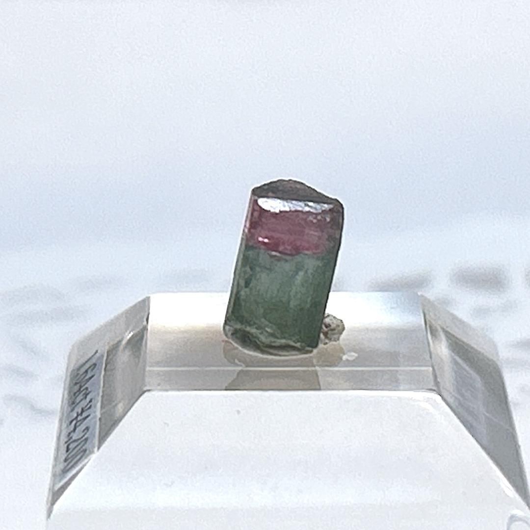 E17742】 1.64ct バイカラートルマリン エルバイト リチア電気石